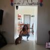 jaasielmejia